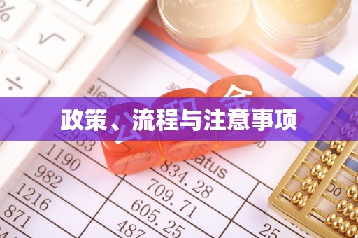 江门政策、流程与注意事项