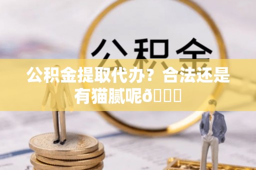 江门公积金提取代办？合法还是有猫腻呢😏