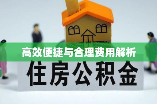 江门高效便捷与合理费用解析